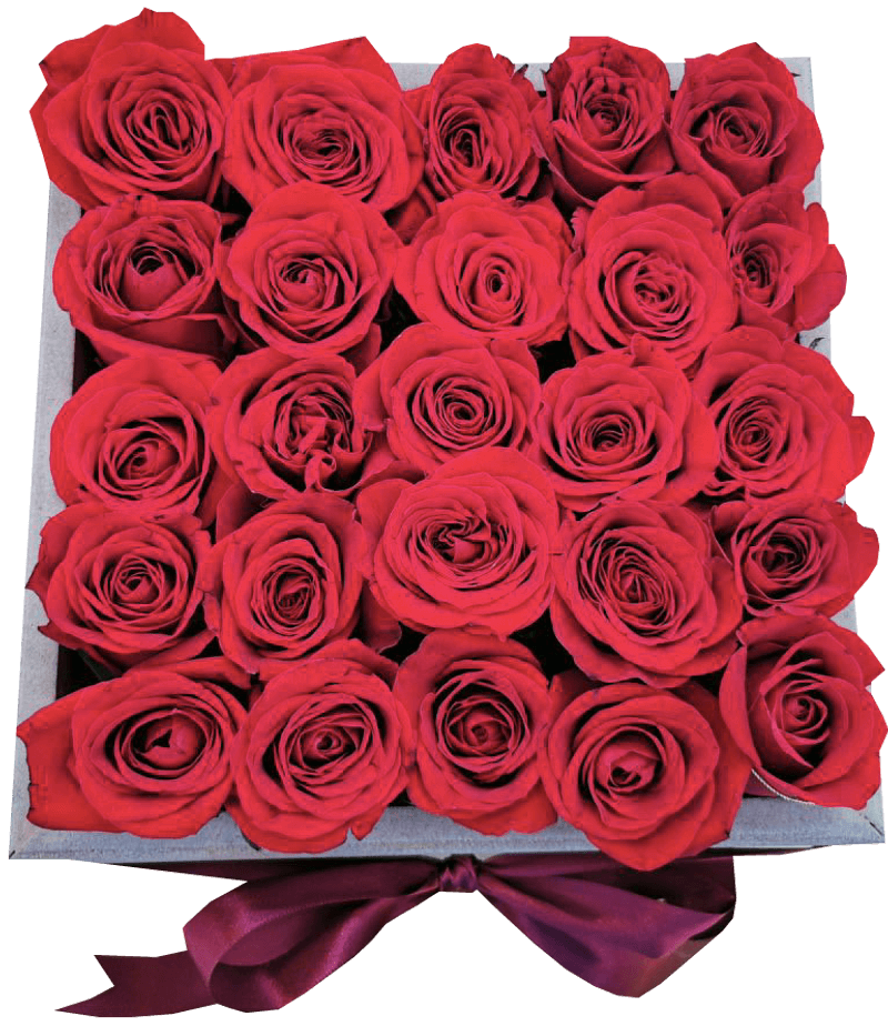 Caja de Rosas Rojas