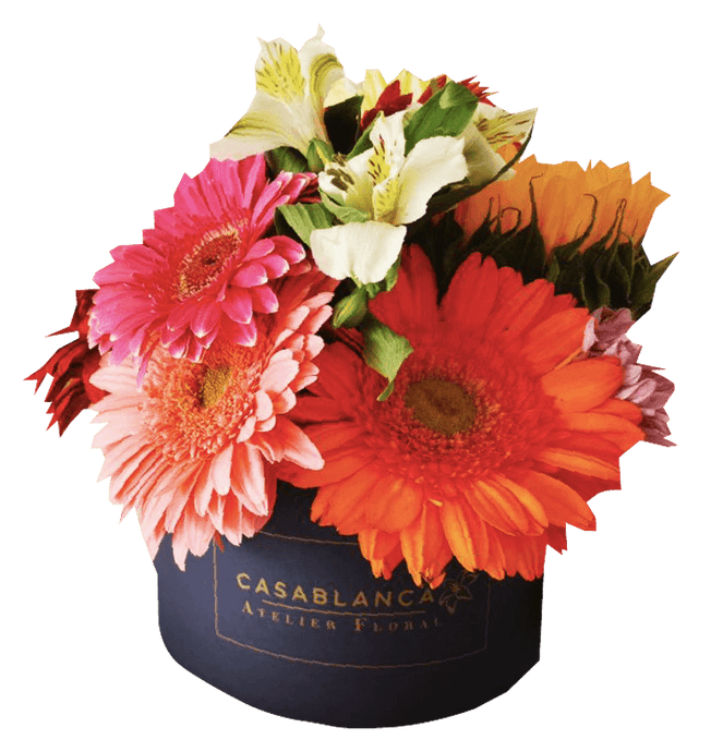 Caja de Gerberas