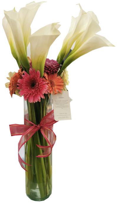 Jarrón de Alcatraces y Gerberas